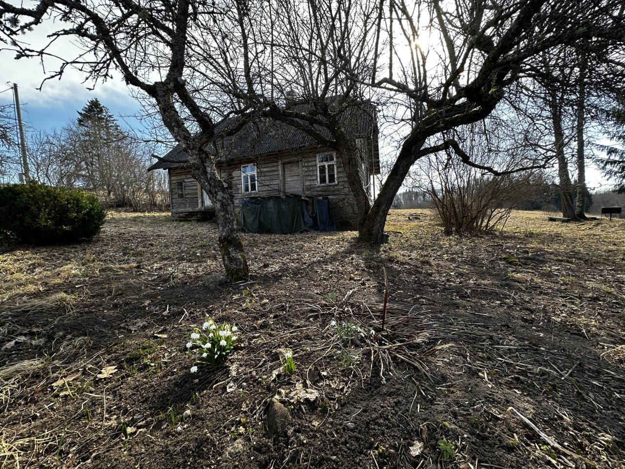 Müüa hoonestatud kinnistu (5,06 ha) aadressil Võru maakond, Rõuge vald, Puspuri küla, Alliku.