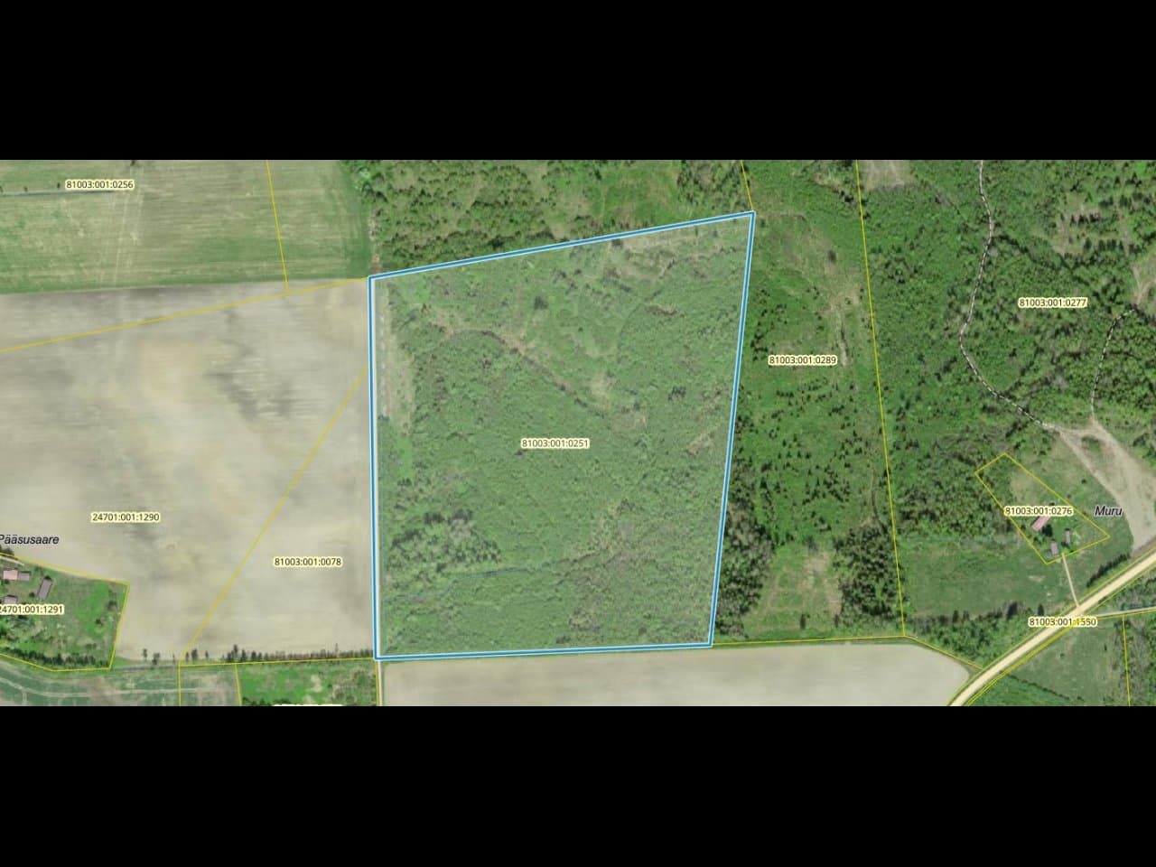 Müüa hoonestamata kinnistu (153340 m2) aadressil Jõgeva maakond, Jõgeva vald, Lilastvere küla, Lehe.